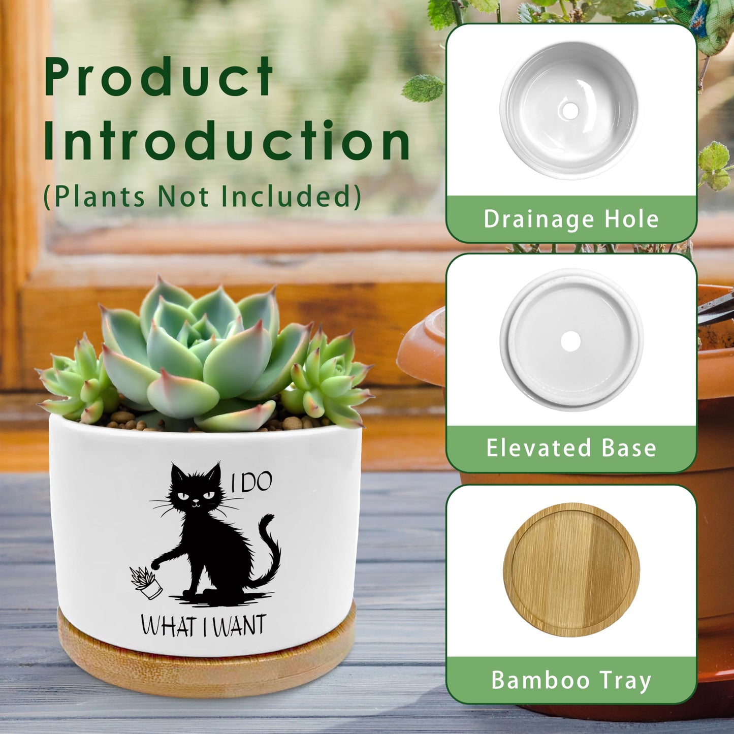 ROXMART Funny Sarcastic Black Cat Plant Pots, Cat Lover Lady Mom Gifts Succulent Planters, I Do What I What Black Kitten Ceramic Plant Flower Pots for Home Office Desk Table Shelf(No Plants)