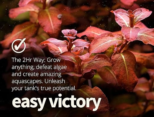 2HR Aquarist All-in-One Aquarium Plant Fertilizer APT 1/ Zero (1000ml)