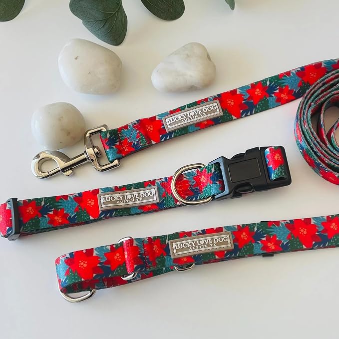 Lucky Love Dog - Easy Click Noel Dog Collar with Leash Set Combo, Durable & Comfortable for Male & Female Dogs, Pet Collar for Large Dogs, Secure Fit - Noel Combo, Large