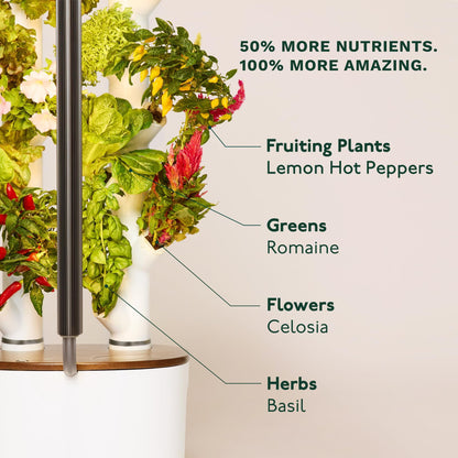 New & Improved! Gardyn Studio 2 Hydroponics Growing System - 16 Non-GMO Plants, Herbs, Vegetables - Smart Tower - Hydroponic Herb Garden Planter Indoor Kit - Indoor Gardening System w/Grow Lights