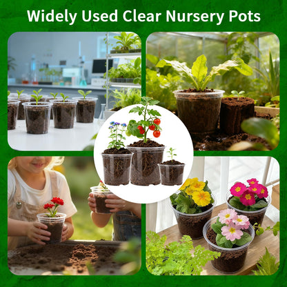 Plgardpo Clear Nursery Pots, 4/5/6 Inch Transparent Plastic Plant Pots with Drainage Holes, Variety Pack Seed Starting Pots, Clear Flower Pots for Indoor Outdoor Plants, 24 Packs