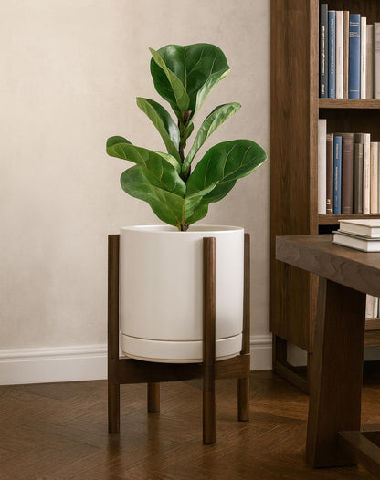 D'vine Dev Ceramic Planter with Walnut Color Stand - 10 Inch Modern Round Flower Pot with Wood Planter Holder, Oatmeal, 55-B-X-8