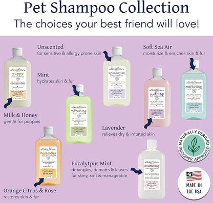 Bobbi Panter Soothing Dog Shampoo Tea Tree, Lavender, Cucumber & Oat Protein – Natural Formula for Sensitive Skin & Irritation Relief, Tear-Free, 30:1 Concentrate, Made in USA, 14 oz