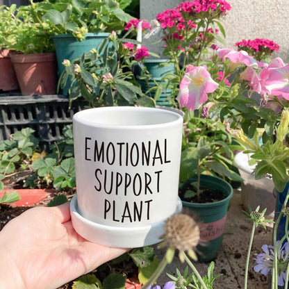 Lzracotz 4.3 inch Ceramic Emotional Support Plant Pot, Funny Succulent Pots, Cute Cactus Planters with Drainage Hole, Funny Plant Pot Emotional Support Cactus