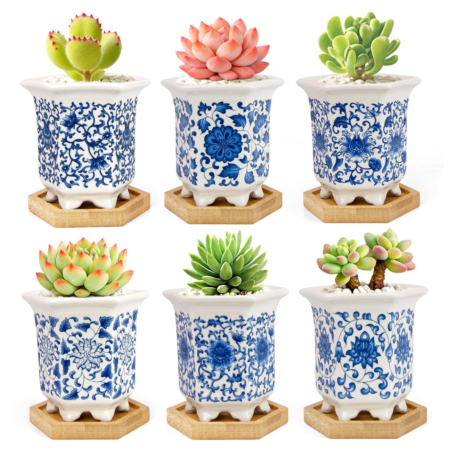 Succulent Pots, Small Ceramic Pots for Plants Set of 6, 3.3" Succulent Planters with Drainage & Saucers, Mini Plant Pots for Indoor Plants, Cactus, Small Flower Pots for Home Office