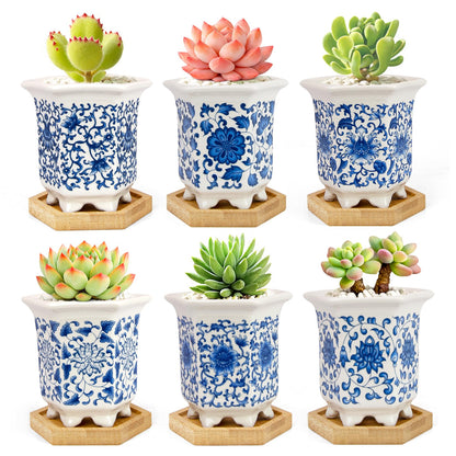 Succulent Pots, Small Ceramic Pots for Plants Set of 6, 3.3" Succulent Planters with Drainage & Saucers, Mini Plant Pots for Indoor Plants, Cactus, Small Flower Pots for Home Office
