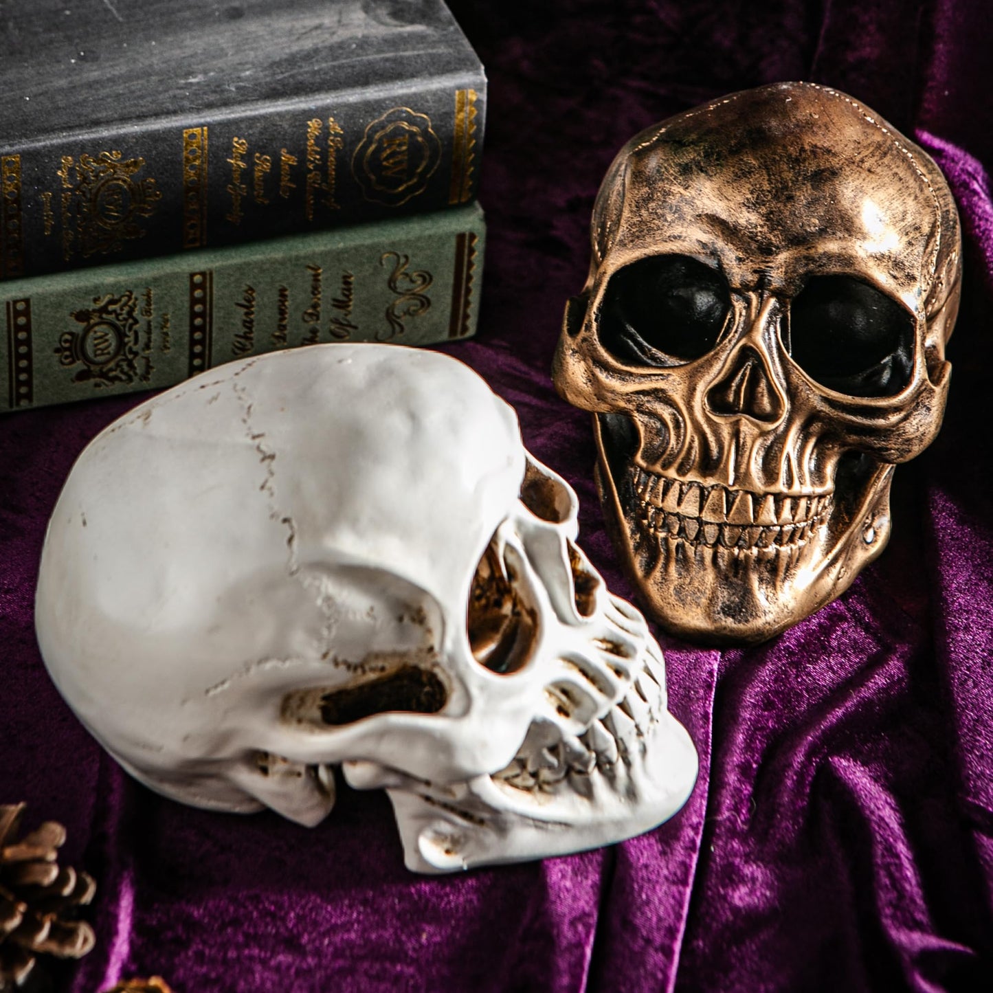 Mowtanco Halloween Skull Statues – Set of 2 Resin Skeleton Head Decorations (Gold & White) – 7.7" Realistic Skull Decor for Indoor Halloween Party, Tabletop Centerpiece, Spooky Home Accents