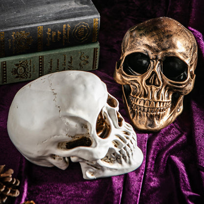 Mowtanco Halloween Skull Statues – Set of 2 Resin Skeleton Head Decorations (Gold & White) – 7.7" Realistic Skull Decor for Indoor Halloween Party, Tabletop Centerpiece, Spooky Home Accents