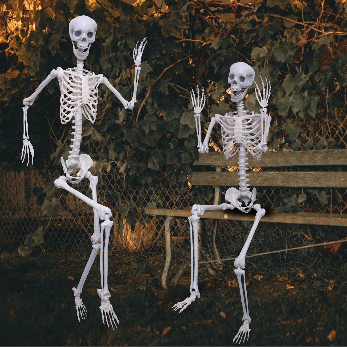 5.9Ft Halloween Life Size Skeleton Posable Skeleton Full Body Plastic Human with Adjustable Joints for Outdoor Indoor Halloween Decoration