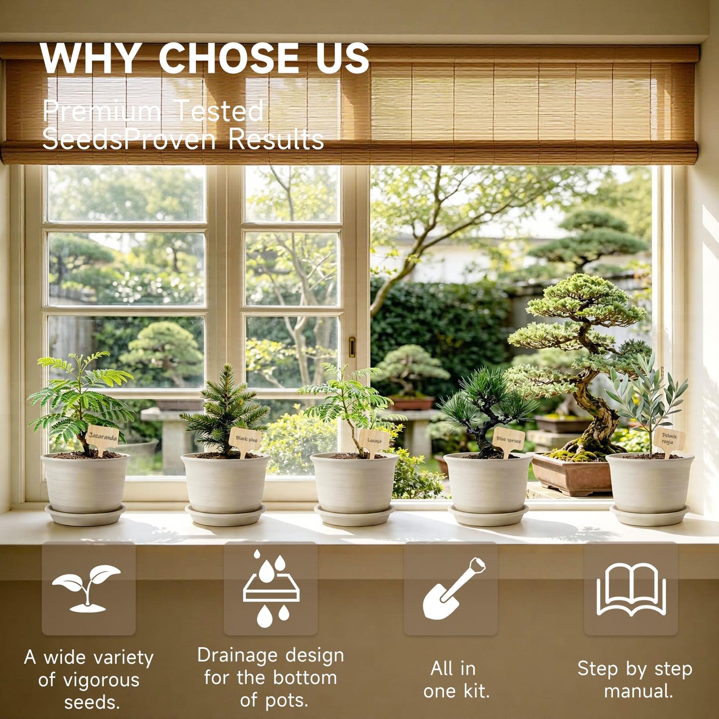 Bonsai Tree Starter Kit – 8 Varieties Indoor Bonsai Trees Plant Seeds with Drainage Design Pots, Gardening Gifts for Women, High-Value Plant Gifts