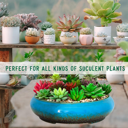 Succulent Pots - 11.5 Inch Ceramic Bonsai Pots with Drainage, Large Shallow Succulent Planters for Indoor Outdoor Plants, Round Glazed Cactus Flower Plant Container Bowl Home Desk Decor(Blue)