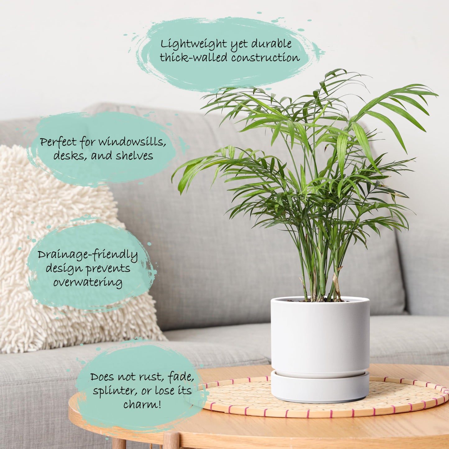 Phoenix Vine 6 Inch Planter Pot with Drainage Hole & Saucer, Deep Water Catch Tray, Straight Cylindrical Round Pot for Plants, Matte White, Pack of 1, 23-B-S-1