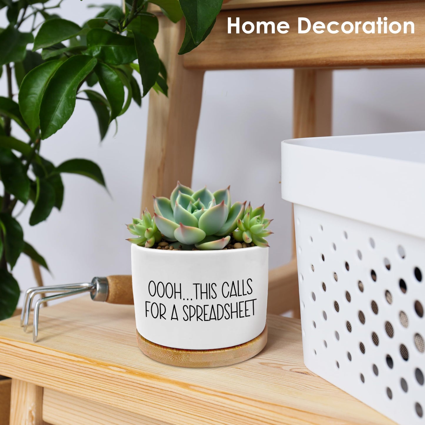 ROXMART Funny Office Gifts Plant Pots, Sarcastic Gifts for Coworkers Succulent Planters, This Calls for a Spreadsheet Ceramic Plant Flower Pots for Home Office Desk Table Shelf(No Plants)