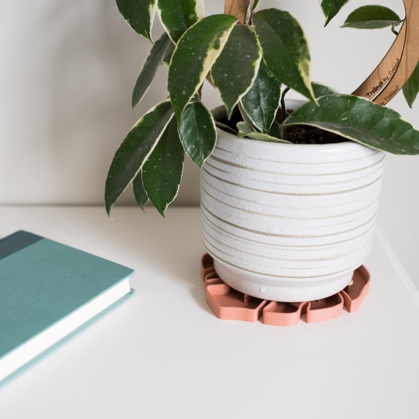 Treleaf Tera Sausr™ – 6" Monstera Leaf Plant Pot Saucer & Drip Tray (Set of 2) – Decorative Humidity Tray for Indoor Houseplants – 3D Printed Eco-Friendly Design - Green
