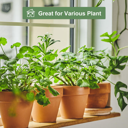 Orceler 6 inch Terracotta & Clay Pots for Plants with Saucer, Medium Terra Cotta Plant Pots with Drainage Hole, Flowerpot with Tray, Terracotta Pot for Indoor Outdoor Plant - Pack of 4 Planters