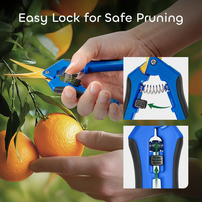 GROWNEER 3 Packs 6.5 Inch Pruning Shears with Curved Blades Trimming Scissors For Gardening Hand Pruning Snips Titanium Coated Precision Blades
