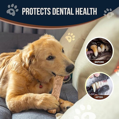 Coffee Wood Chew and Cotton Rope Toy for Dogs - 100% Natural, Organic Wood Stick for Chewers Teeth Cleaning, Training - Size M