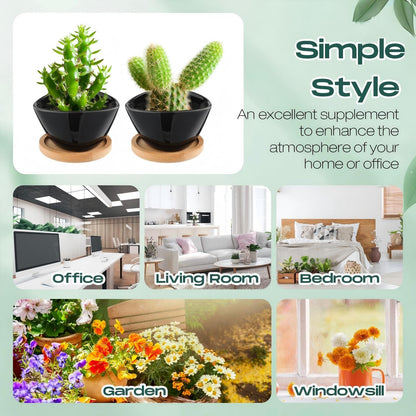 Domensi 24 Pack Succulent Planter Pots 3 Inch Small Plant Pots Mini Ceramic Succulent Planter Holder with Drainage Holes and Bamboo Saucers(Black)
