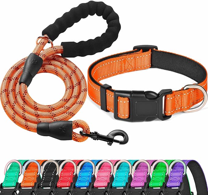 Ladoogo Reflective Dog Collar Padded with Soft Neoprene Breathable Adjustable Nylon Dog Collars for Small Medium Large Dogs (Small (Pack of 1), Orange Collar+Leash)