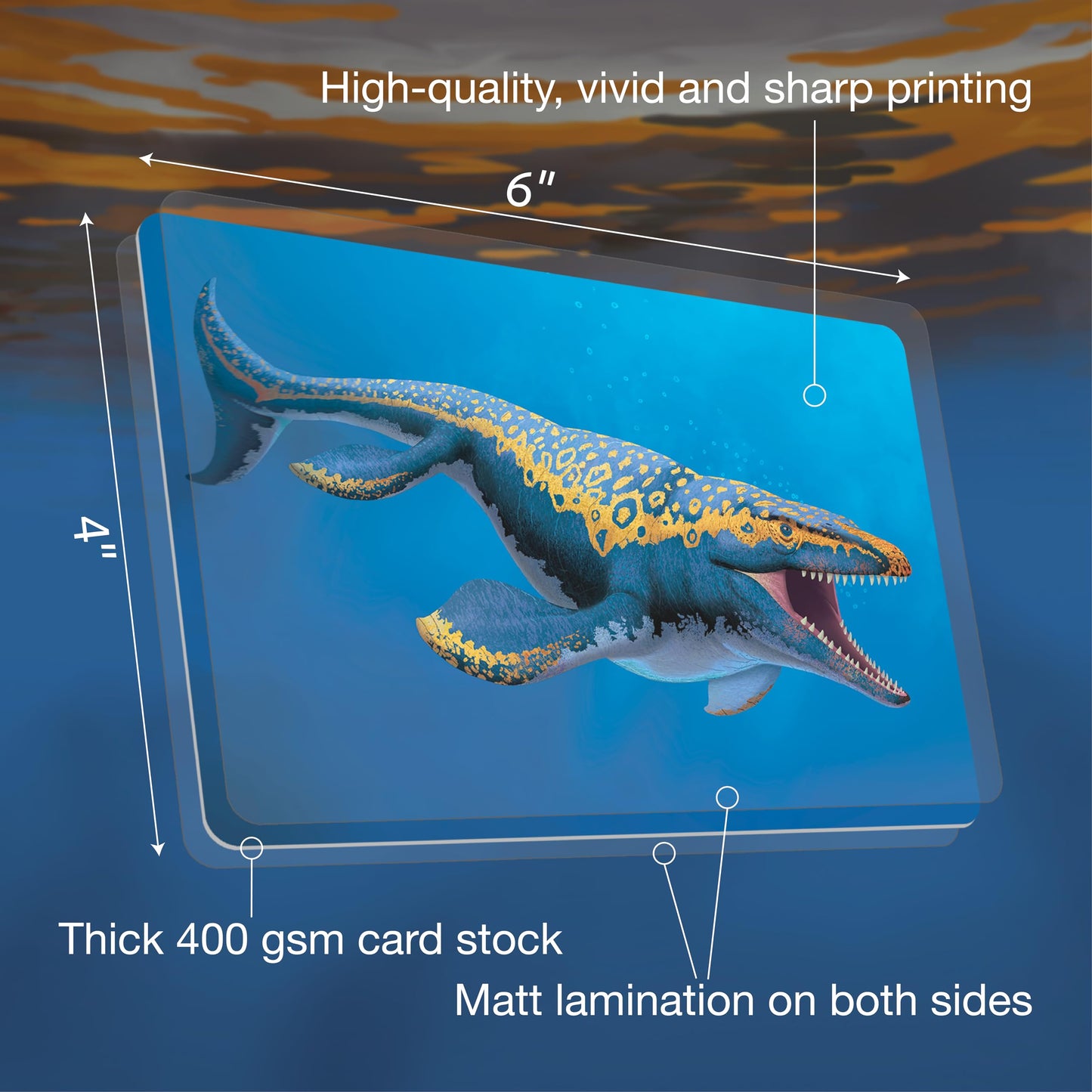 Tiny Worlds: Dinosaur Dynasties: Cretaceous Creatures Cards, Set of 30 Learning Flash Cards, Collectible Information Cards for Kids and Adults, Gifts for Children Above 6 Years Old