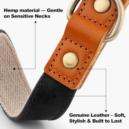 Plutus Pet Genuine Leather & Hemp Dog Collar – Adjustable Heavy Duty Pet Collar with Quick Release Metal Buckle, Soft & Stylish for Puppy and Small, Medium, Large Dogs (Black, XS)