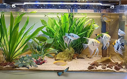 M2cbridge Artificial Fish Tank Plants Silk Aquarium Plant Aquatic Water Grass Foreground Decor (2PCS (Tall and Short))