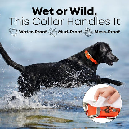 Regal Dog Products Large Orange Dog Collar with Heavy Duty Double Buckle & D Ring | Vinyl Coated, Custom Fit, Adjustable Biothane Dog Collar | Chew Resistant Waterproof Collar for Dogs