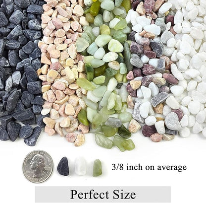 FANTIAN 5lbs Natural White Pea Gravel Pebbles for Succulent Cactus, 3/8 Inch White Rocks for Plants Indoor, Vase Fillers, Bowl, Landscaping and Outdoor Garden Decorative White Stones
