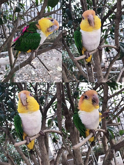 Adjustable Harness Leash for Birds 2Pack Nylon Anti-bite Outdoor Training Walking Control Rope for Parrot African Grey Cockatoo Macaw Ringneck Parakeet Cockatiel Reptile Lizard (Yellow+Green)