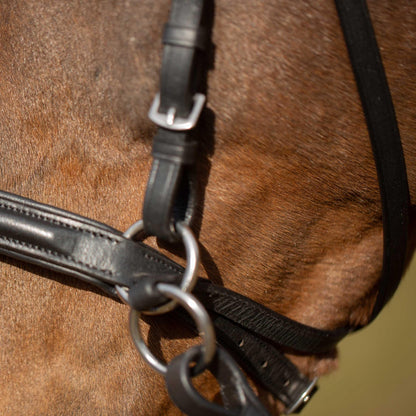 Equinavia Saga Cross-Under English Bitless Bridle for Horses | Reins Included - Black - Cob
