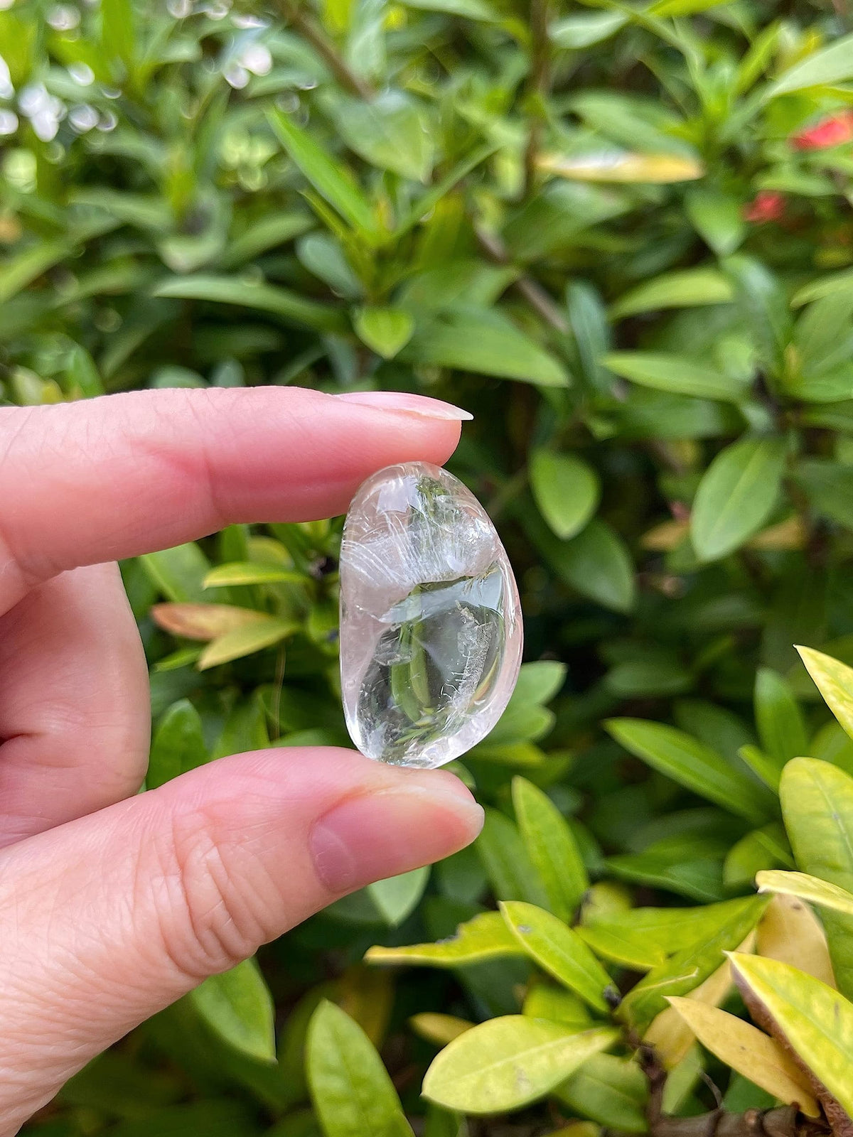 GAF TREASURES 5 Pcs Clear Quartz Tumbled Stones, Polished Natural Clear Quartz Gemstone, Clear Quartz Healing Crystals (Clear Quartz)