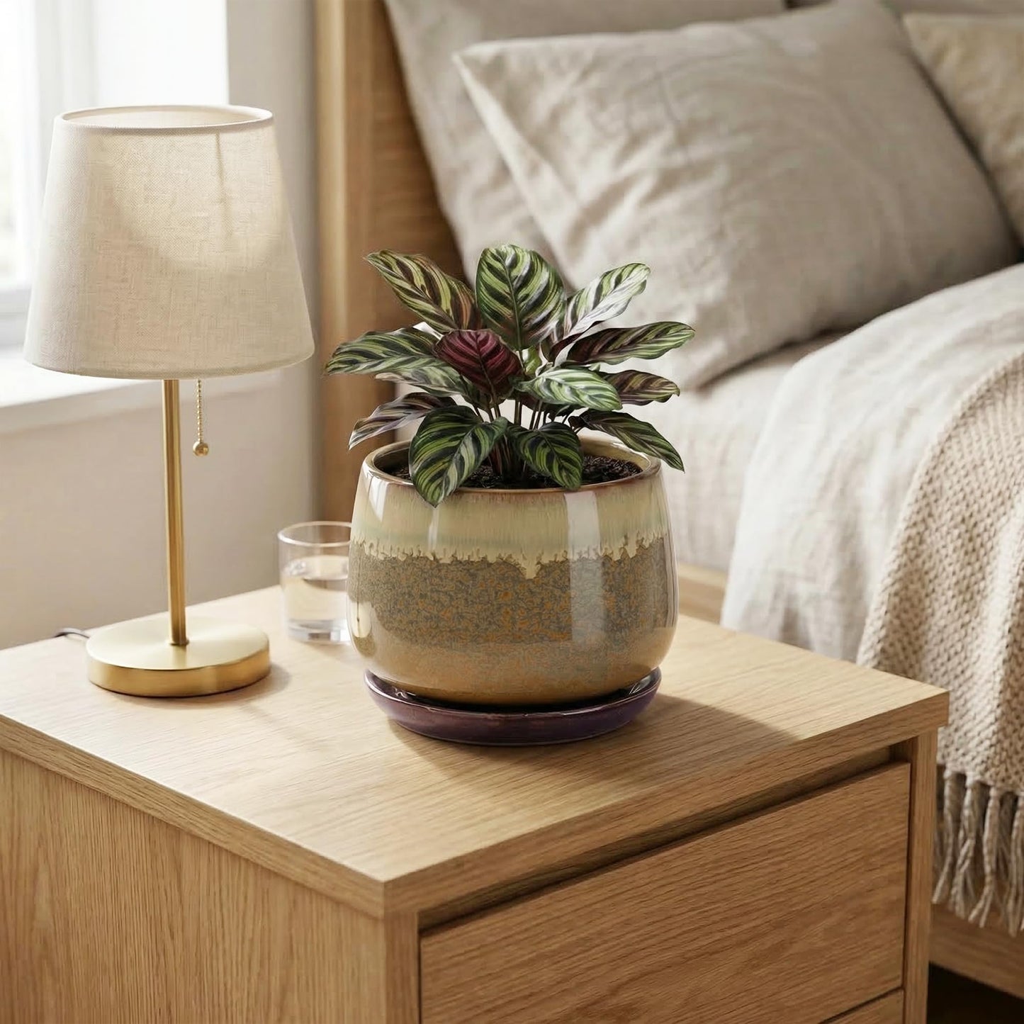 Fivepot 6 Inch Plant Pot - Ceramic Pots for Indoor Plants, Round Small Succulent Planter with Drainage and Saucer, Decorative Flower Pot, Office Room Decor, Gifts for Plant Lovers, Brown-Beige