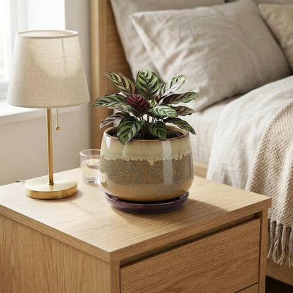 Fivepot 6 Inch Plant Pot - Ceramic Pots for Indoor Plants, Round Small Succulent Planter with Drainage and Saucer, Decorative Flower Pot, Office Room Decor, Gifts for Plant Lovers, Brown-Beige
