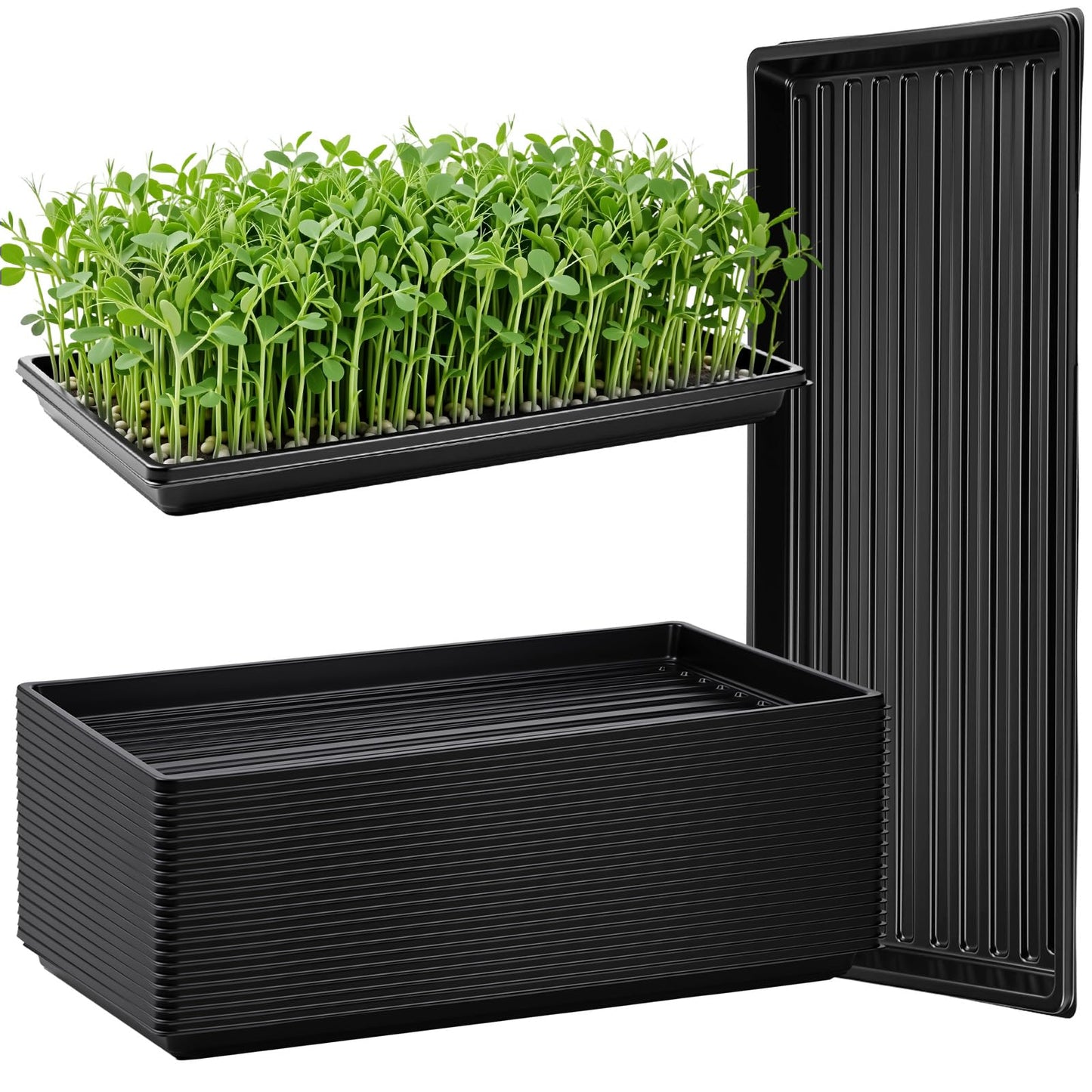 Vesici 20 Pack 1020 Seed Starting Tray Heavy Duty Plant Growing Flat Seedling for 72/128 Cell Plug Plant Nursery Tray No Hole Germination Transplant for Microgreens Gardening Greenhouse (L)
