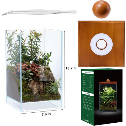 13.7H+7.8W Desktop Glass Plant Terrarium with Light, Large Propagation Station for Succulent, Moss, Miniature Gardening Landscape, Betta Fish Tank