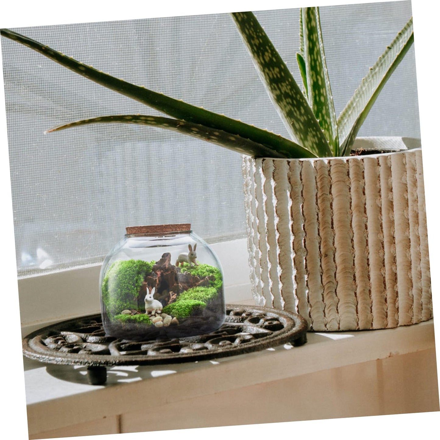 VANZACK 1set Glass Terrarium Container for Microlandscape Decor Transparent Bottle for Indoor and Outdoor Creative Plant Displays for Use