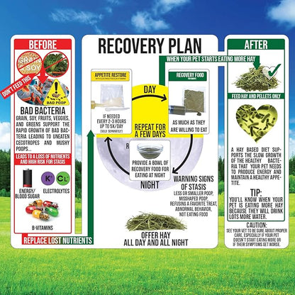 Sherwood Pet Health Guinea Pig Timothy Recovery Food (800g). Grain Free, Soy Free. Great Taste that Guinea Pigs Love with Motility Herbs.