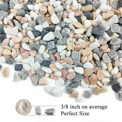 FANTIAN 2 lbs Succulent and Cactus Pebbles Gravel, 3/8 Inch Mixed Color Decorative River Rocks for Plants Indoor, Vases, Terrarium, Potted Top Dressing and Outdoor Decorative Stones