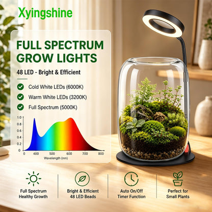 5X Aperture Glass Terrarium Grow Light with Full Spectrum LED for Indoor Plants, Mini Desk Plant Growing Lamp for Succulents & Moss, 3 Modes, 10 Brightness Levels, Height Adjustable