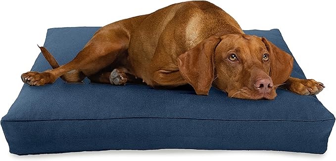 X-Large - 48 x 30 x 5 - Blueberry Premium Organic Hemp Dog Bed - CertiPUR Fill - Removeable Cover