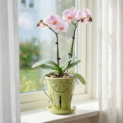 Gniliny Ceramic Orchid Pot with Slotted Holes, 5.39 Inch Crackle Glaze Apple Green Planter with Daisy Relief & Tray, Breathable Vertical Slotted Orchid Container for Repotting