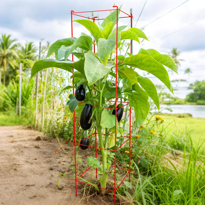 Thealyn Tomato Cages 6 Packs 57 Inches (H) Plant Stand with 164 Feet Twist Ties, Heavy Duty Garden Plants Support for Tomatoes, Cucumber, and Other Climbing Plants (Red)