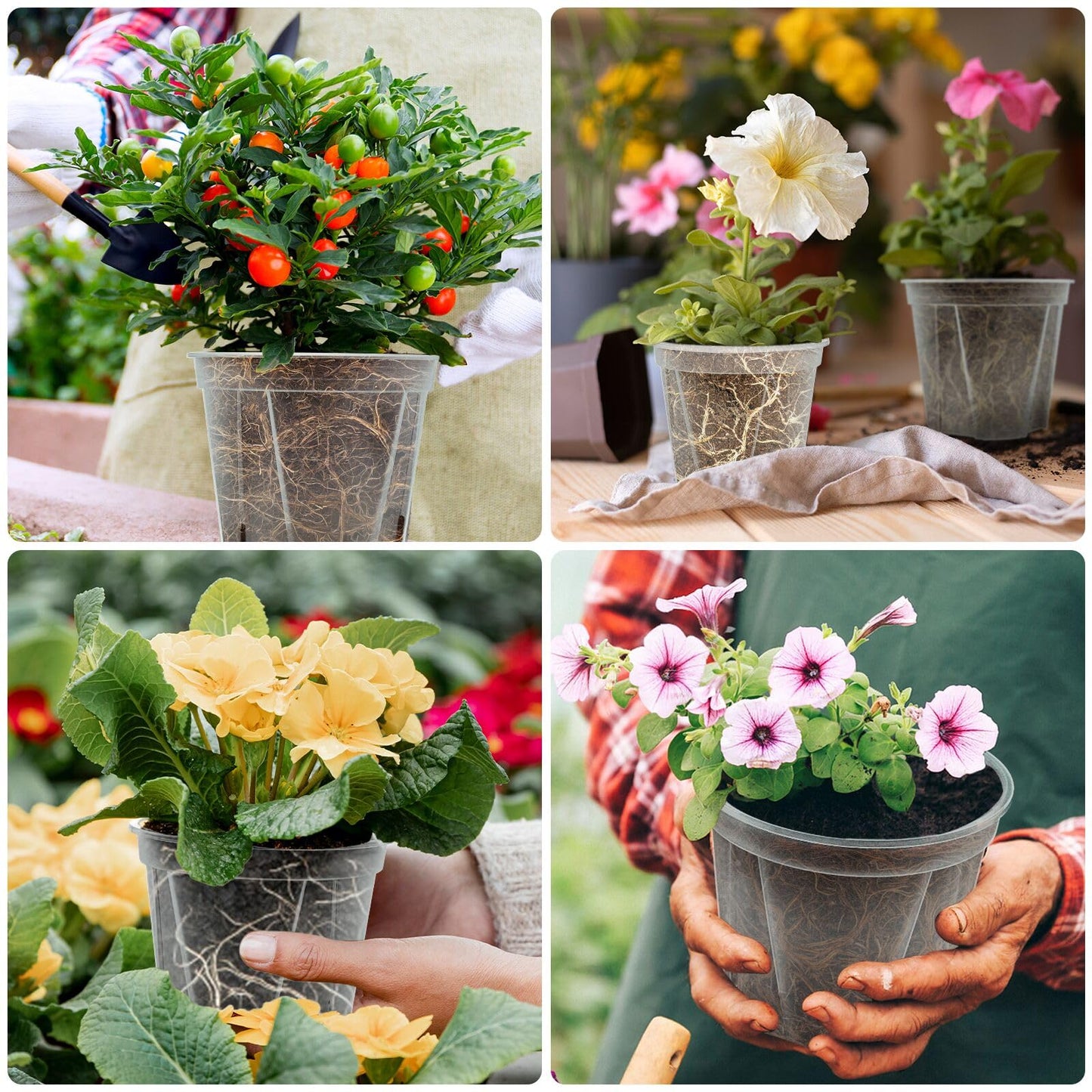 Clear Nursery Pots with Drainage, 10 Pack Transparent Plastic Orchid Planters, 6 Sizes Plant Pots 9.5/8.5/7/6/4.7/4 Inch with 10 Plant Labels for Seedlings, Succulents, Indoor/Outdoor Repotting