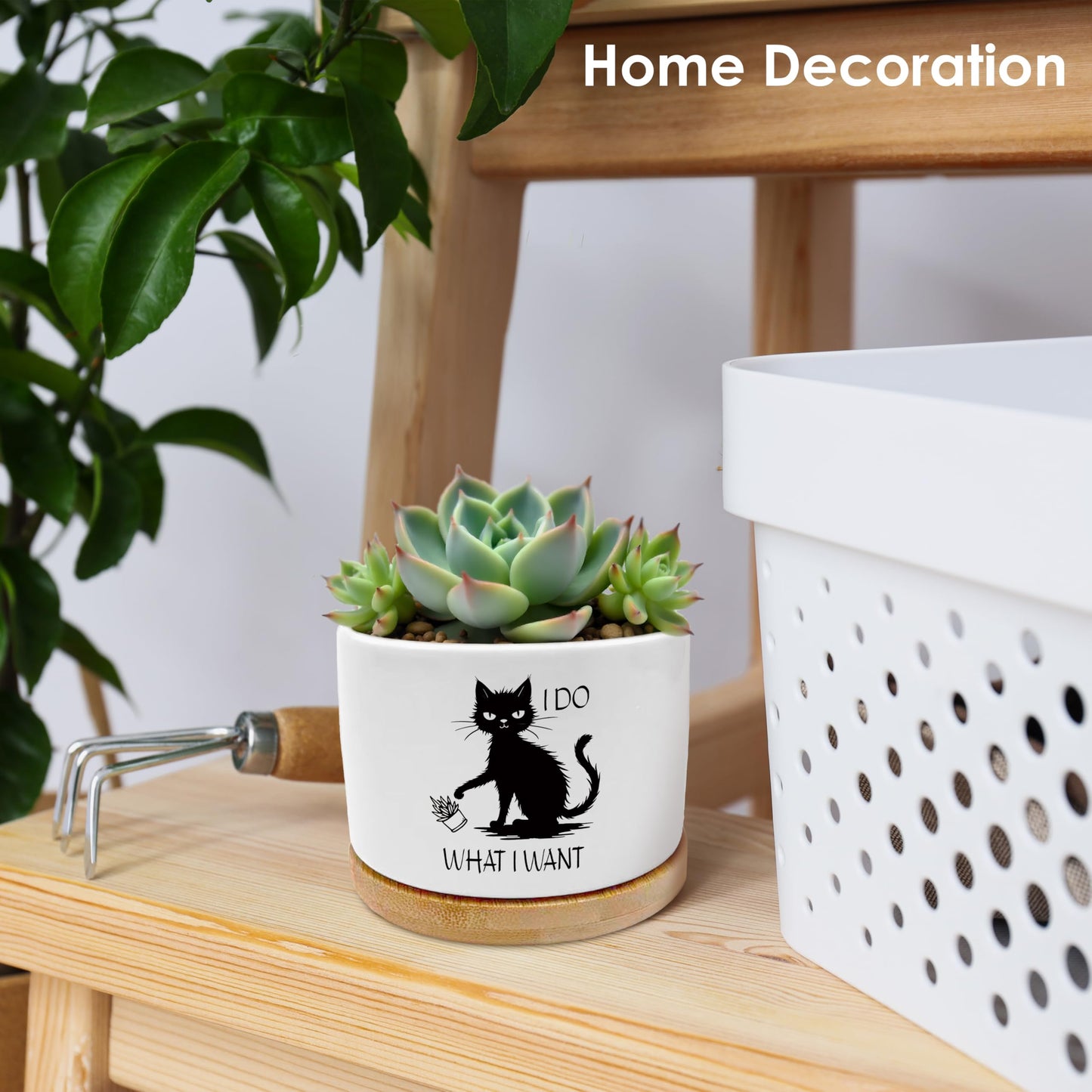 ROXMART Funny Sarcastic Black Cat Plant Pots, Cat Lover Lady Mom Gifts Succulent Planters, I Do What I What Black Kitten Ceramic Plant Flower Pots for Home Office Desk Table Shelf(No Plants)