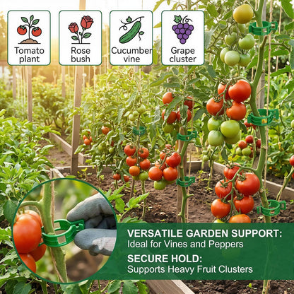 600Pcs Tomato Clips Plastic Plant Support Clips for Garden Trellis Twine and Greenhouse Vine Support Garden Clips for Tomatoes Cucumbers Peppers Climbing Vegetables and Flowers Upright Growth