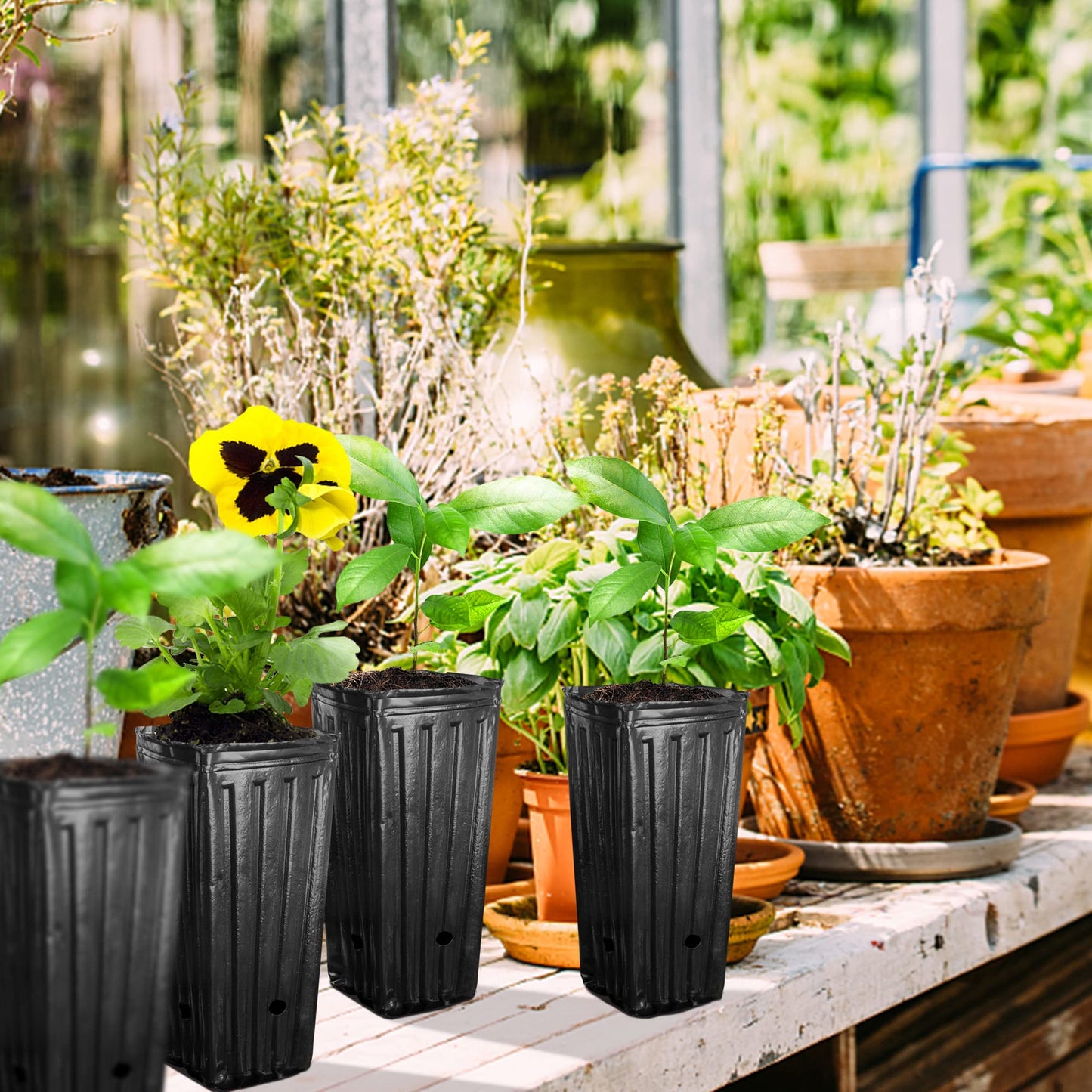 RunNico 50pcs Plastic Deep Plant Nursery Pots,11.8”Tall Tree Pots,Black Deep Seedling Container Pots with Drainage Holes for Indoor Outdoor Gardening (3.9" Wx11.8 H)