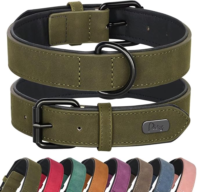 Didog Soft Padded PU Leather Dog Collar, Breathable and Adjustable Dog Collar for Large Dogs, Comfortable for Daily Walk, Dark Green, XL Fit Neck 18-22"(45-71 lbs)