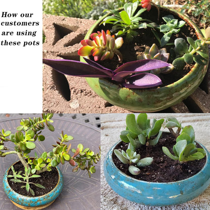 ARTKETTY 2 Pack Succulent Pots - 10''+12'' Succulent Planters with Drainage, Shallow Bonsai Pots with Tray Ceramic Pots for Indoor Plants Large Cactus Flower Plant Bowl