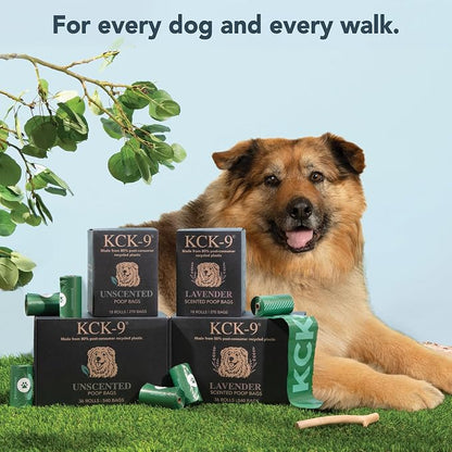 80% Recycled Plastic Dog Poop Bags – Extra Thick, Leak Proof Waste Bags, Big Dog Approved (Unscented, 540 Bags)