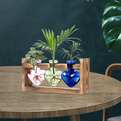 Miaomiaoco Hydroponic Flower Vase Glass Vase Table Centerpiece Plant Propagation Modern Propagating Jar Plant Terrarium for Dining Table, Pink Green (Color)